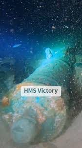 Image result for Copper Brown 1958 Admiral