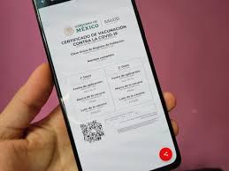 .sobre certificados interoperables de vacunación, de test y de recuperación (certificado verde digital)). Certificados Falsos De Vacunacion Contra Covid 19 Se Pueden Comprar En El Centro De Cdmx Por 500 Pesos Segun Reporte