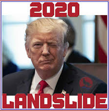 Pin On Election 2020