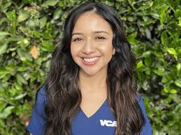 VCA TLC Pasadena Veterinary Specialty and Emergency