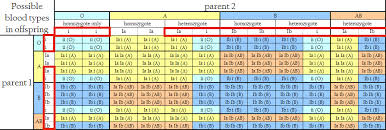 possible genotypes for blood types biology stack exchange