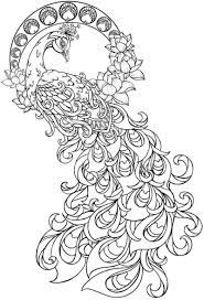 Coloring enthusiasts can make this craft as simple or as vivid and intricate as they desire. Peacock Coloring Pages Ideas Pdf Printable Free Coloring Sheets In 2021 Peacock Coloring Pages Paisley Coloring Pages Mandala Coloring Pages