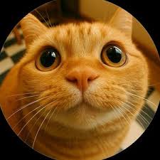 Redditddawa (@liweinsxlee)