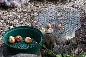 Du bastelst gerne mit draht. Bauanleitung Fur Einen Wuhlmauskorb Mein Schoner Garten