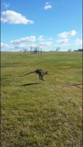 There Could Be A Smoking Gun Rand Paul Says He Thinks Obama Knew About Biden Ukraine Issues Air Tv