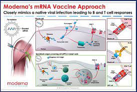 Check spelling or type a new query. Comparing Pfizer And Moderna Vaccines News About Energy Storage Batteries Climate Change And The Environment