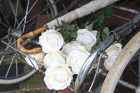 4.5 out of 5 stars 604. Hd Wallpaper Flowers Pram Baby Newborn Cream Roses Umbrella Silver Cross Wallpaper Flare