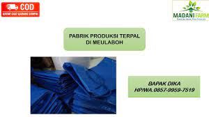 Promo Hp Wa 085799597519 Jual Kolam Terpal Jambi Terpal Kolam Ikan Kolam