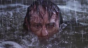 Cape fear is a 1991 american psychological thriller film directed by martin scorsese as a remake of the 1962 film of the same name which was based on john d. Cape Fear 1991