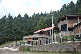 Mariposa Monarca Santuario La Mesa Sjr Facebook