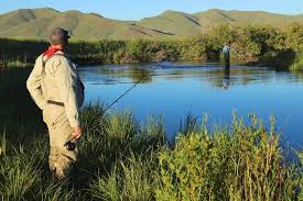 Simms, redington, tfo, and more. Fly Fishing In Idaho S Sawtooth Mountains