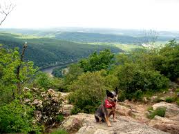 Michener, a native of the area. Pennsylvania Hike With Your Dog