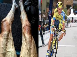 Maybe you would like to learn more about one of these? Cyclist Shares What His Legs Look Like After Biking 1 758 Miles In 17 Days Indy100 Indy100
