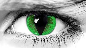 Make your statement with green circle lenses and contact lenses. Green Cat Halloween Contacts In Non Prescription Scary Snake Effects
