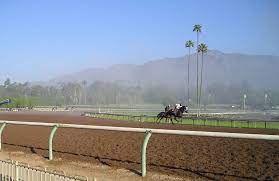 Expert monique vag breaks down each racing card. Today S Free Santa Anita Park Winning Horse Picks 2021