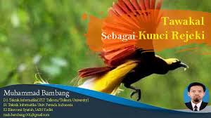 Burung tersebut pergi di waktu pagi dalam keadaan lapar dan kembali pada waktu. Tawakal Sebagai Kunci Rejeki