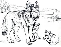 Each printable highlights a word that starts. Baby Wolf Coloring Pages To Print Coloring Home