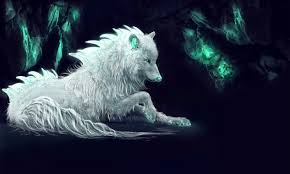 We have 69+ background pictures for you! Black And Gray Wolf 1920x1080 Download Hd Wallpaper Wallpapertip