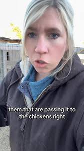 Bird Flu Ted talk 🙂