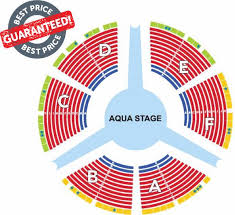 Le Reve Seating Chart Best Seats Best Picture Of Chart