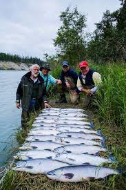Kenai River Cabins And Salmon Fishing At Sterling Alaska