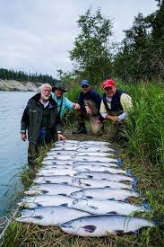 kenai river cabins and salmon fishing at sterling alaska