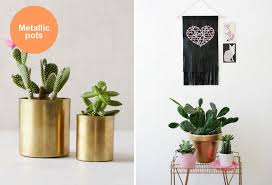 I'm not sure, but there are spray paints designed for outdoor use on metal, and when i so much great information in one place. Design Lovers Blog Cactus Plants Plants Metallic Spray Paint