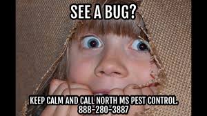 Top keywords % of search traffic. North Mississippi Pest Control Facebook