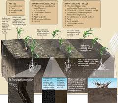 No Till Farming Diagram Soil And Water Conservation No Till Farming Soil Health
