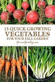 13 Quick Growing Vegetables For Your Fall Garden Fall Vegetables Growing Vegetables Fall Garden Vegetables