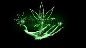3d weed wallpapers wallpaper cave