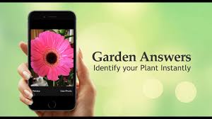 The flower identification tool here is quite easy — just take a pic of a flower and that's it. Garden Answers Plant Identification
