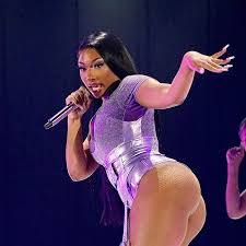 Megan Thee Stallion's sexiest snaps - boob spill, tiny crop top and latex  dress - Daily Star