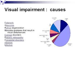 Visual Impairment and Blindness Nakhleh E AbuYaghi M