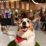 Australian Shepherd Meet Up