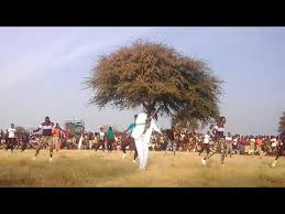 Ngelela ft kisima2020 song ufunguzi wa nyumba(official video). Download Nchaina Kabyalile 3gp Mp4 Codedwap