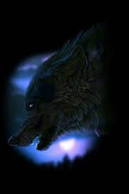 Pin By Shane Ruwhiu On Lone Wolf Anime Wolf Wolf Pictures Wolf Husky