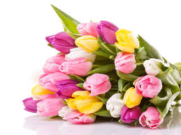 Prestige flowers is voted uk's no. Flower Power Why A Bunch Is Scientifically Proven To Cheer You Up 9coach