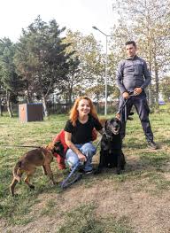 Istanbul Un Deprem Kopekleri Yetisiyor Guncel Haberler Milliyet