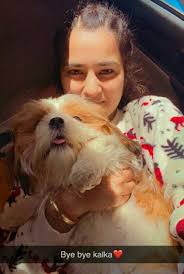 Pin By Jasleen Grewal On Prabhkaur In 2020 Animals Dogs Tok