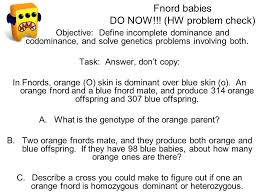 The inheritance of alleles, which are not completely dominant or recessive, gives rise to the two concepts called codominance and incomplete dominance. Fnord Babies Do Now Hw Problem Check Objective Define Incomplete Dominance And Codominance And Solve Genetics Problems Involving Both Task Answer Ppt Download