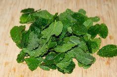Conserver Et Utiliser La Menthe Du Potager Menthe Recettes De Cuisine Conservation Des Aliments