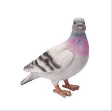 Maybe you would like to learn more about one of these? Kaligrafi Burung Merpati Gambar Islami