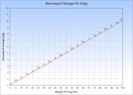 Benazepril For Dogs Veterinary Place