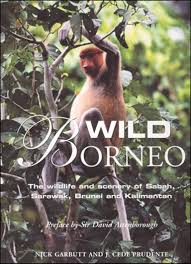 Download as pdf or read online from scribd. Wild Borneo The Wildlife And Scenery Of Sabah Sarawak Brunei And Kalimantan The Mit Press Garbutt Nick Prudente J Cede 9780262072748 Amazon Com Books
