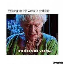 Creepysusie · апр 13, 2017. Waiting For This Week To End Like It S Been 84 Years Retail Humor Its Been 84 Years Server Humor