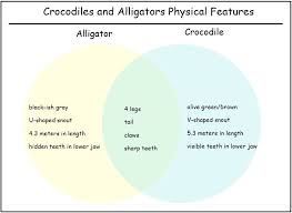 Graphic Organizers For Comparing The Reflective Educator