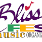 Blissfest Winter Solstice Gathering event image
