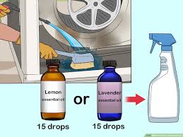 We did not find results for: 3 Ways To Clean A Swamp Cooler Wikihow
