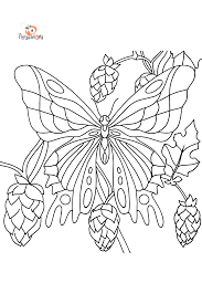 Insects coloring pages for Adults